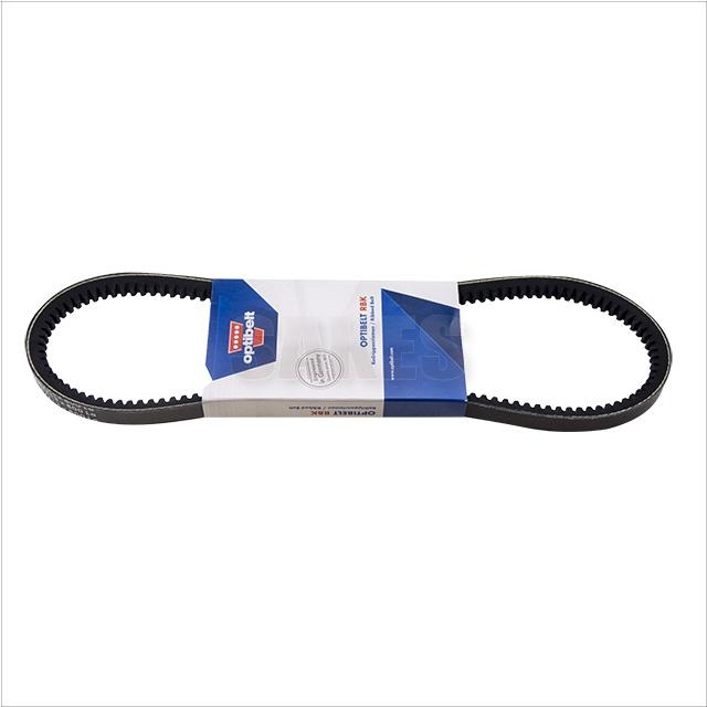 Timing Belt:2000 1013 01