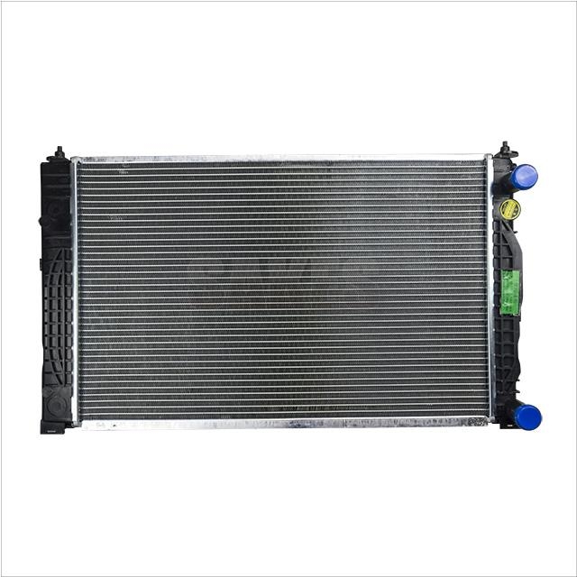 Radiator,Engine Cooling:2200 1004 01
