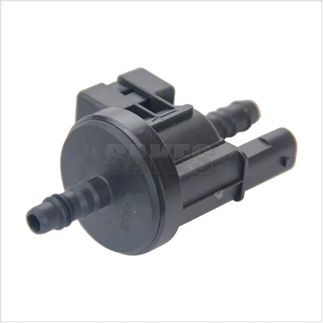 Check Valve:1251 1007 01