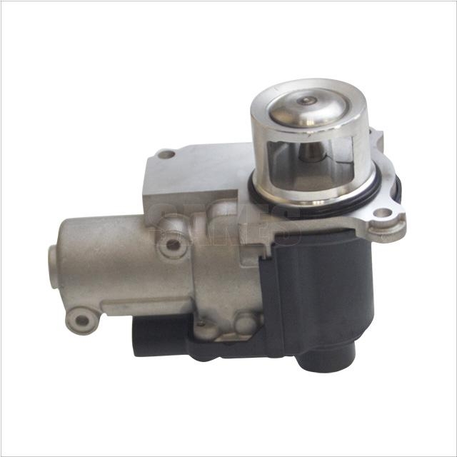 Egr Valve :4501 1038 01