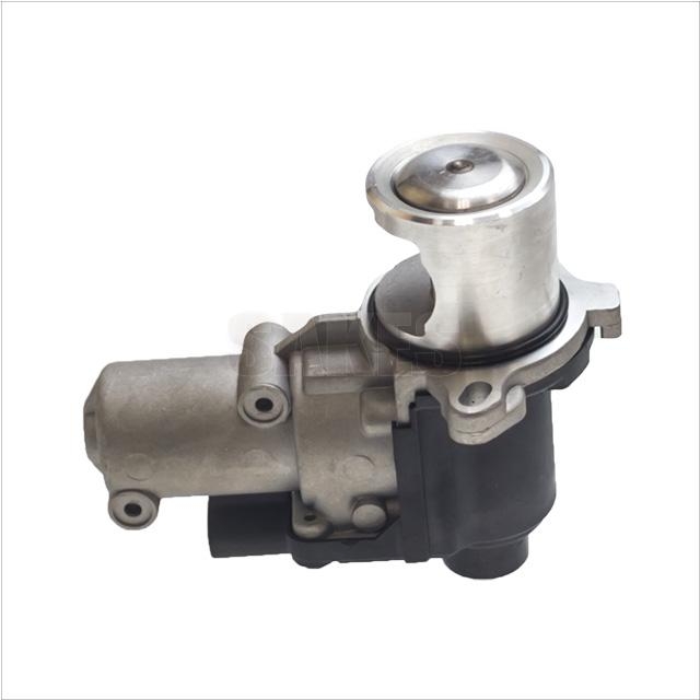 Egr Valve :4501 1039 01