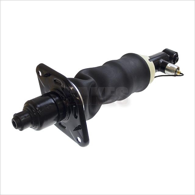 Shock Absorber:6202 1002 01