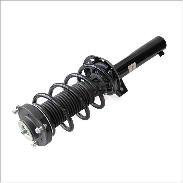 Shock Absorber:6200 1100 01