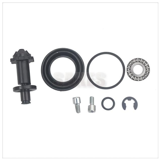 Brake Caliper Repair Kit:6905 1001 01