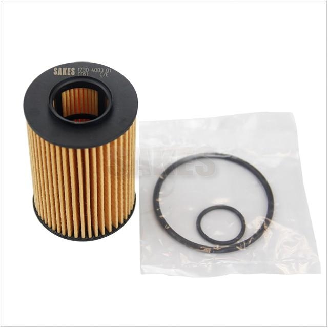 Oil Filter:1730 4003 01