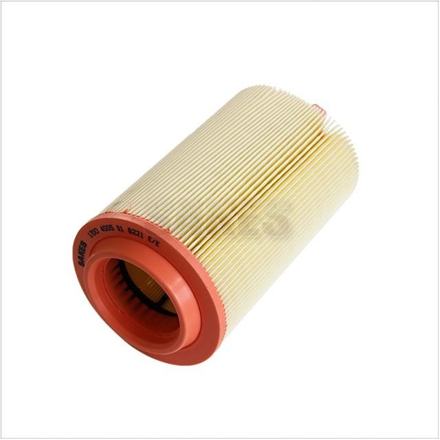 Air Filter:1700 4005 01