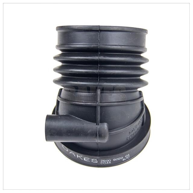 Radiator Hose:2600 6020 01