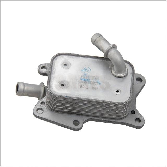 Oil Cooler, Engine Oil:1410 4020 01