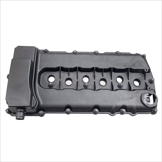 Cylinder Head Cover:1120 1001 01