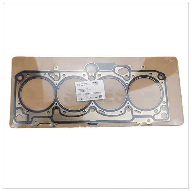 Gasket,Cylinder Head:1000 1037 01