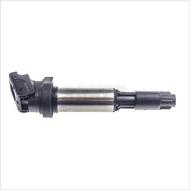 Ignition  Coil:4100 9006 00